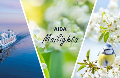 aida special - mailights