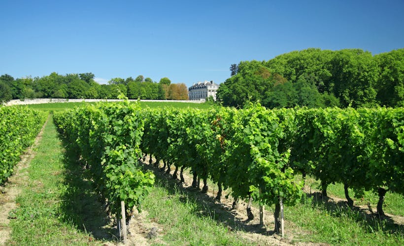 St Émilion Weingut Frankreich