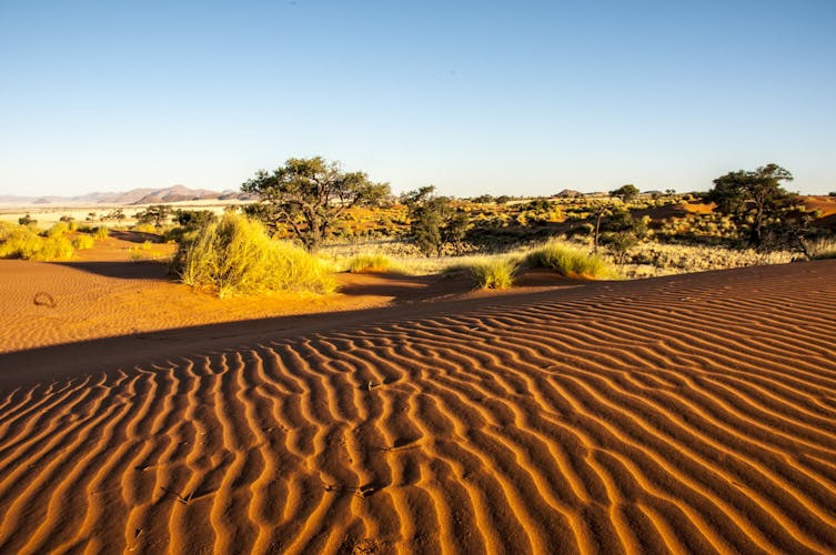 Namibia Namib-Wüste