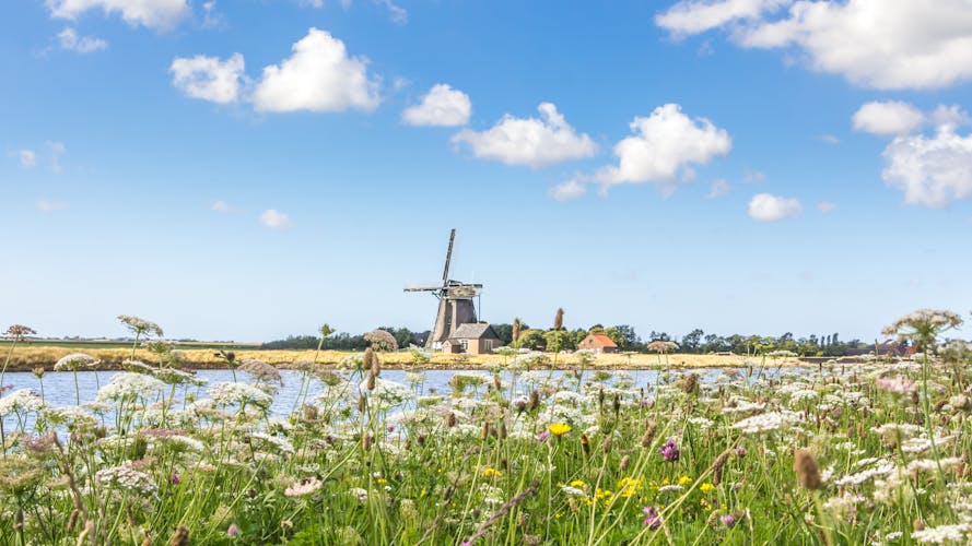 Texel Niederlande