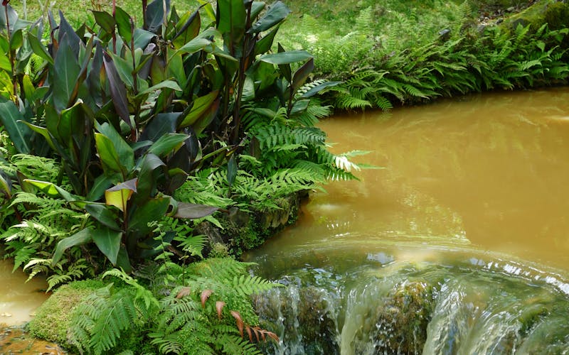 Mini Wasserfall in grüner Natur