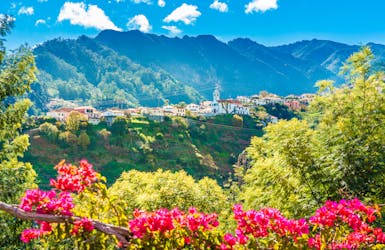 Blumenzauber auf Madeira