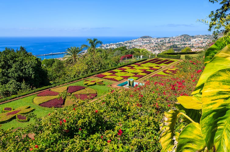 Funchal Madeira Botanischer Garten 