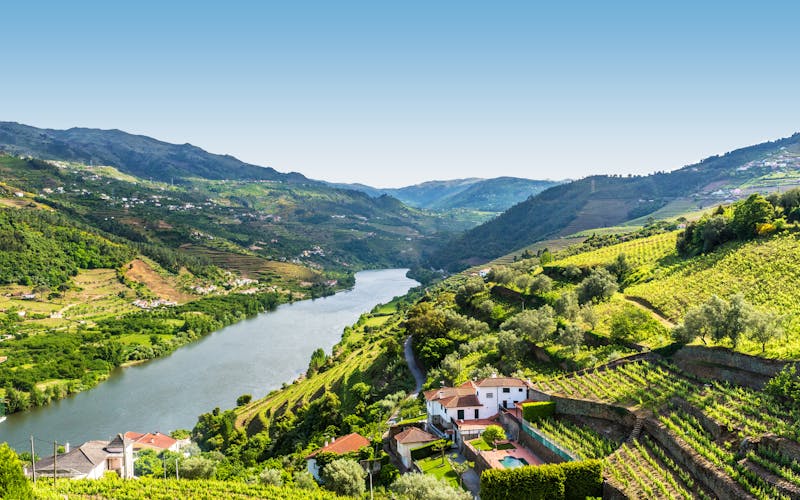 Der Douro 