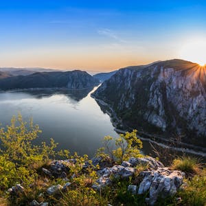 Pelikan Donaudelta