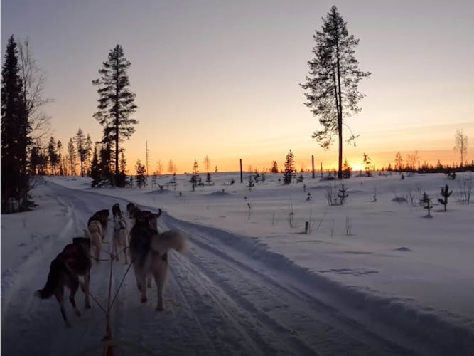 Schwedisch Lappland Hundeschlitten