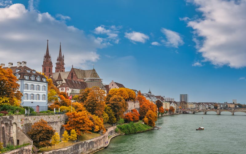 Rheinufer im Herbstlaub