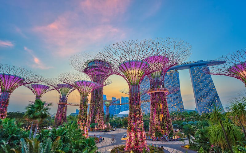 Gardens by the bay Singapur 