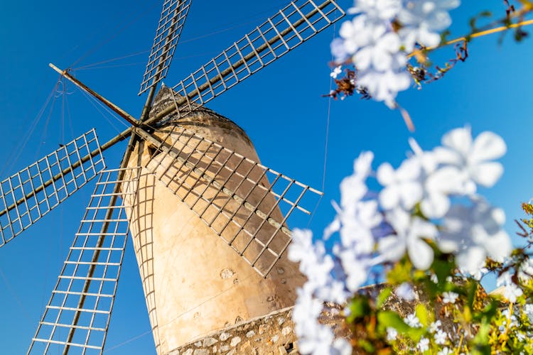 Palma de Mallorca Windmühle Spanien