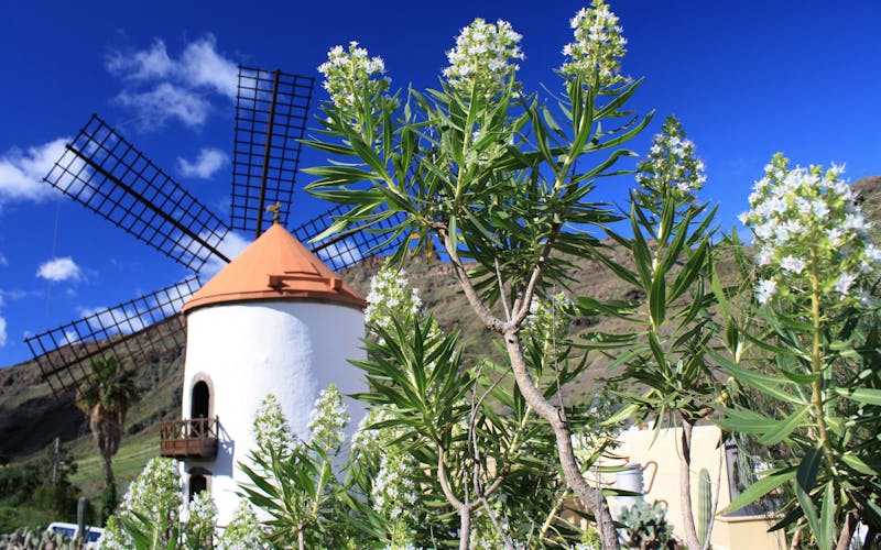 Windmühle im Grünen