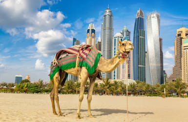 Skyline Dubai mit Kamel