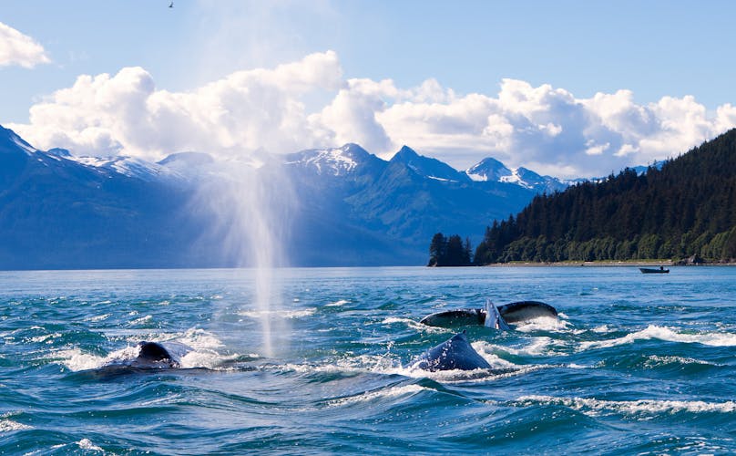 Juneau Alaska Wal