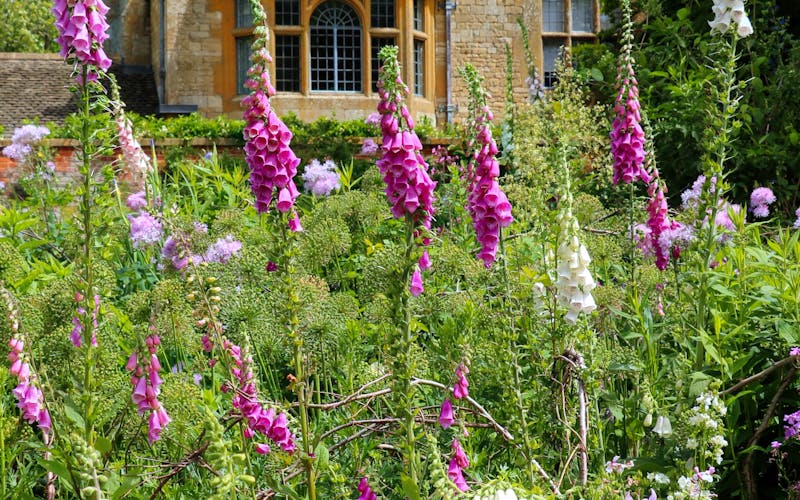 Blick in den Hidcote Manor Garden
