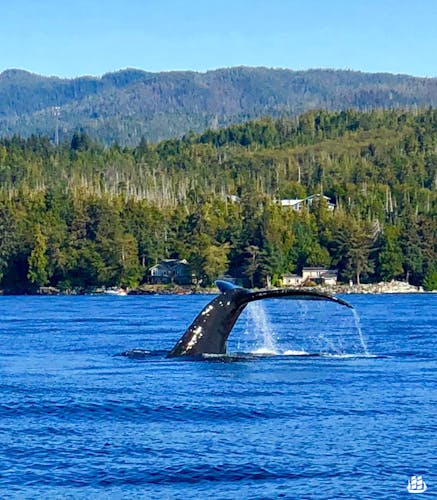 Wale Kanada