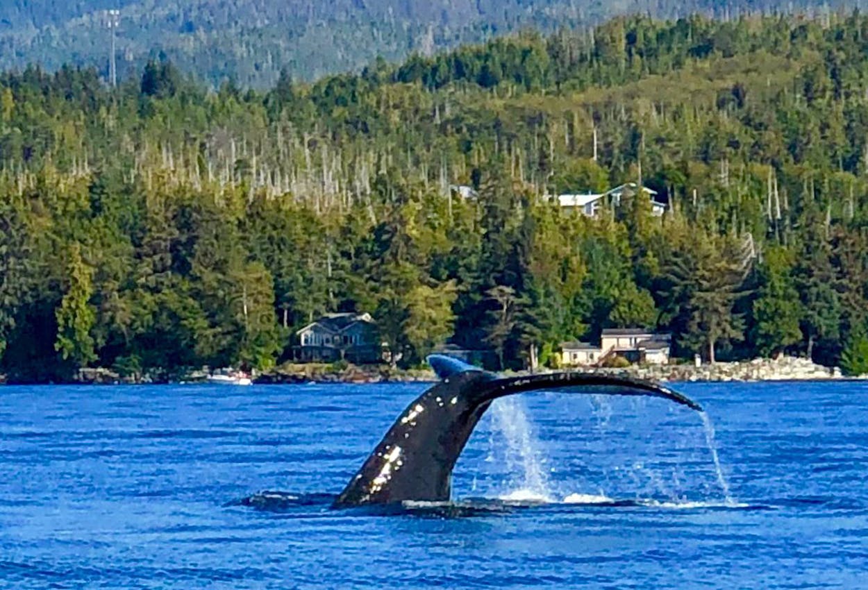 Wale Kanada