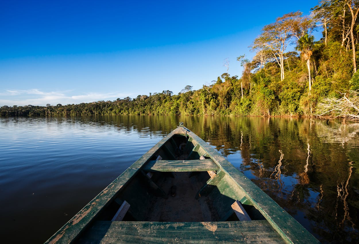 Flusslandschaft Amazonas