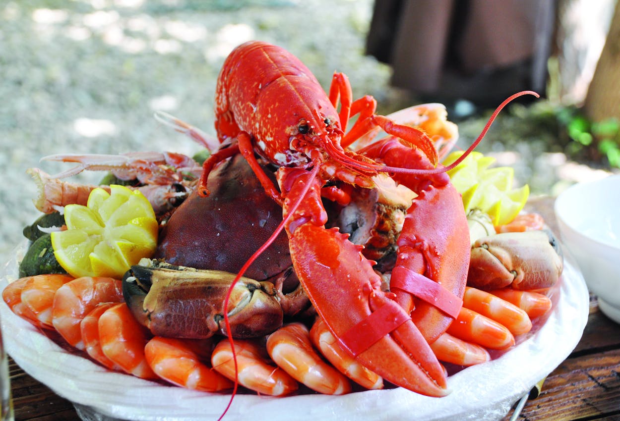 Seafood-Platte mit Hummer und Krabbe