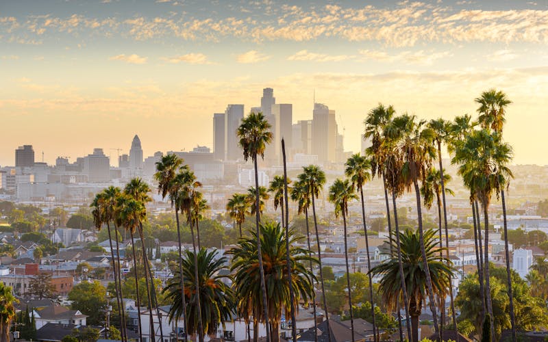 Los Angeles mit Palmen