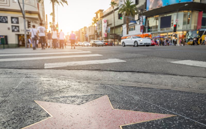 Los Angeles Walk of Fame Stern