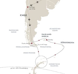 Albatrosse Falkland 