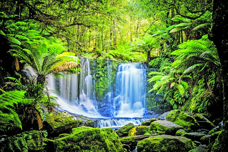 Q:\Destinationen\Australien\Tasmanien_Horseshoe Falls at the Mt Field National Park_AdobeStock_171365800©MrForever_ztv5.tif
