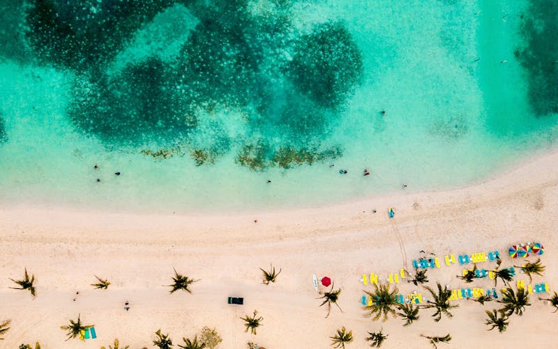 Bahamas Strand Coco Cay Karibik Palmen Meer Wasser 
