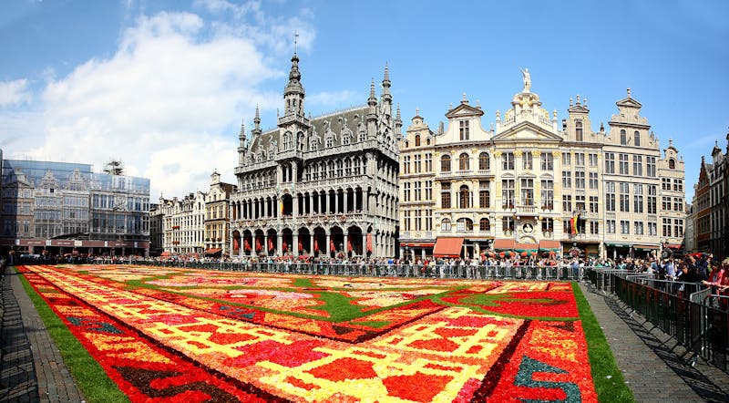 Der Blumenteppich in Brüssel