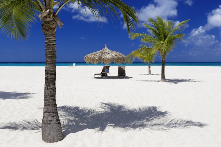 Am Strand in der Karibik, weißer Sand, Palmen und zwei Liegestühle