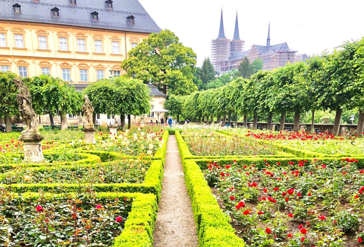Der schöne Rosengarten in Bamberg