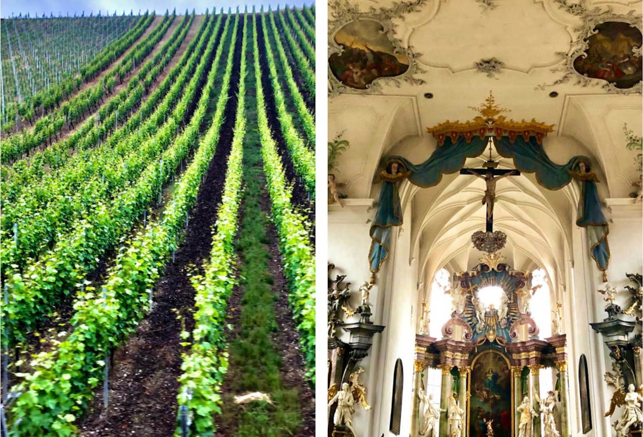 Der Frankenwein und die Kirche in Volkach