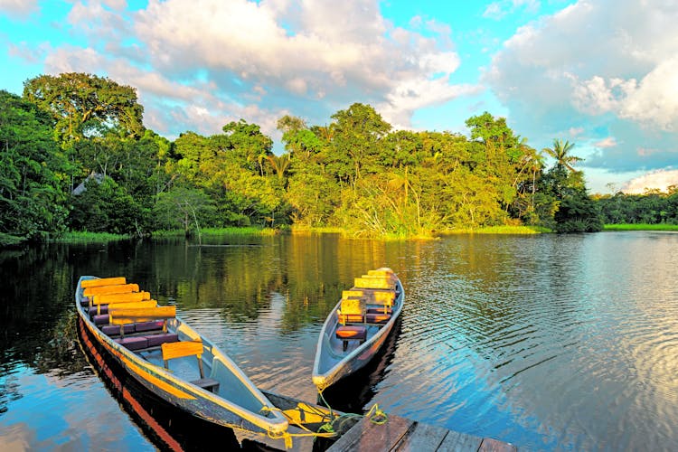 Amazonas_Yasuni National Park_AdobeStock_285881477_©SL-Photography_ztv5