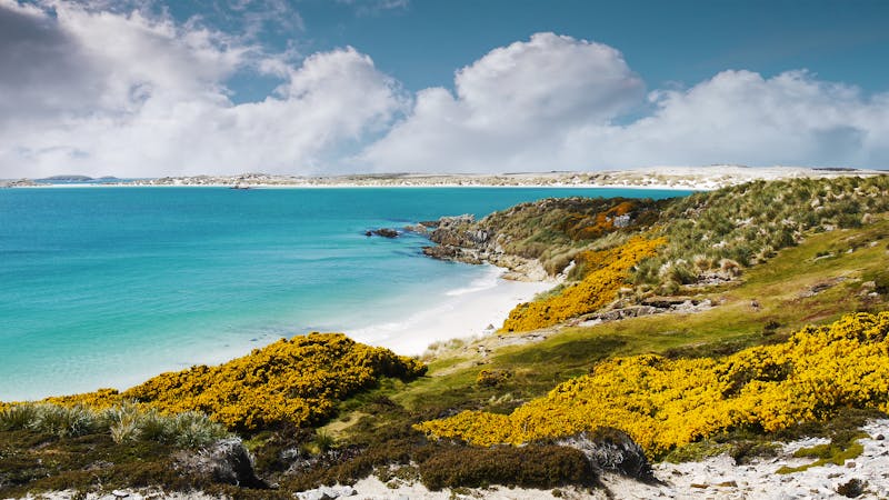 Blick auf die Falkland Inseln 