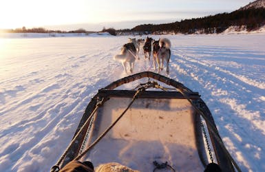 Winter Abenteuer Lappland
