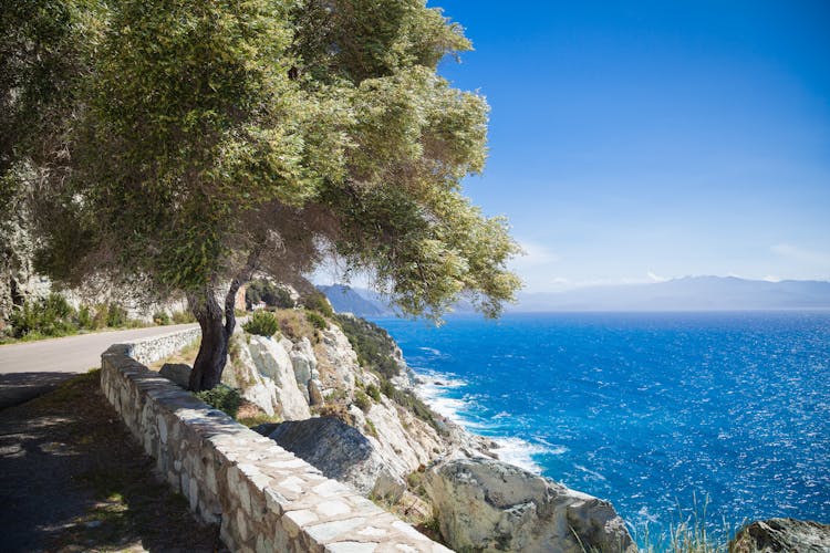 Korsika_Cap Corse_AdobeStock_83615156 © hardyuno_abo