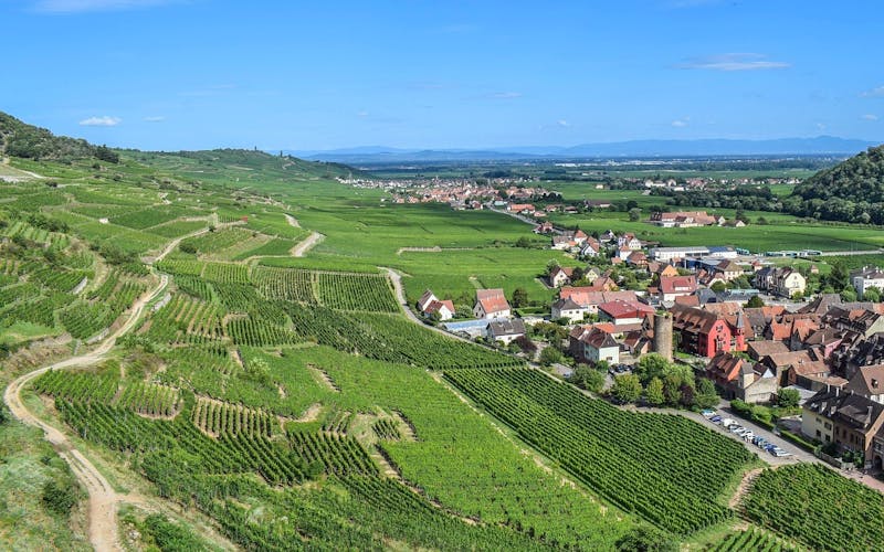 Panoramablick auf Ort und weite Weinbau-Landschaft