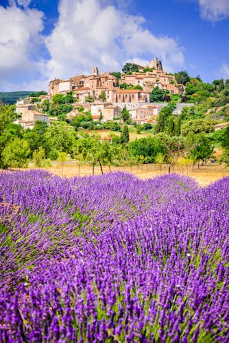 Provence Lavendel Simiane la Toronde