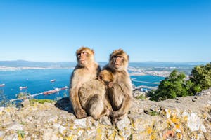 Gibraltar_AdobeStock_208614450_©Val Traveller_abo