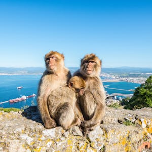 Gibraltar_AdobeStock_208614450_©Val Traveller_abo