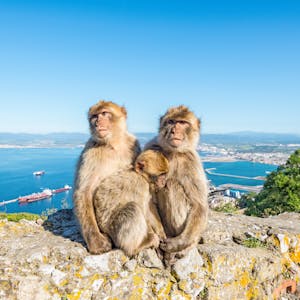 Gibraltar_AdobeStock_208614450_©Val Traveller_abo_ztv5
