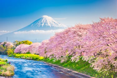Asien: Kochi, Nagoya und Fuji