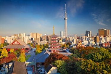Asien: Osaka, Jeju und Nagoya