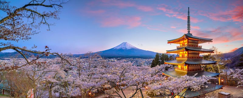 Panorama Fuji 