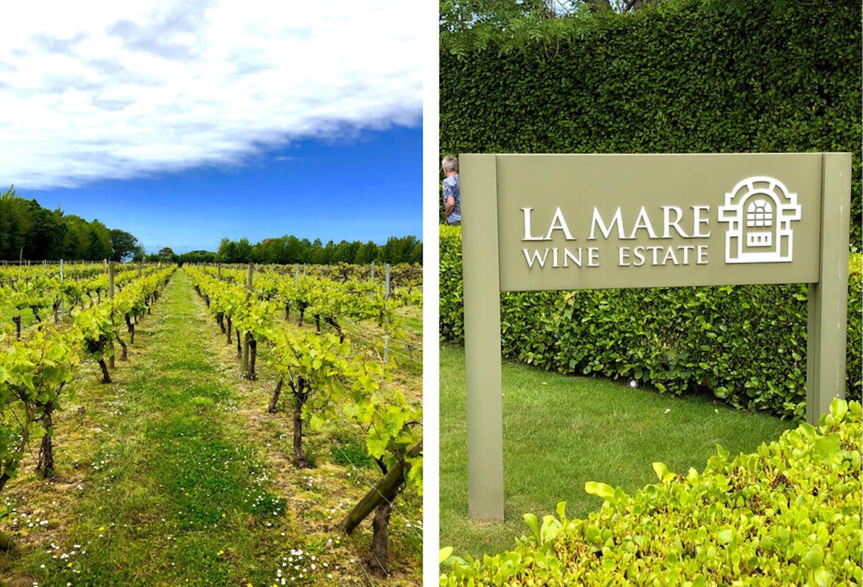 Jersey La Mare Wine Estate