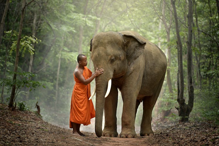 Mönch Elefant Laos
