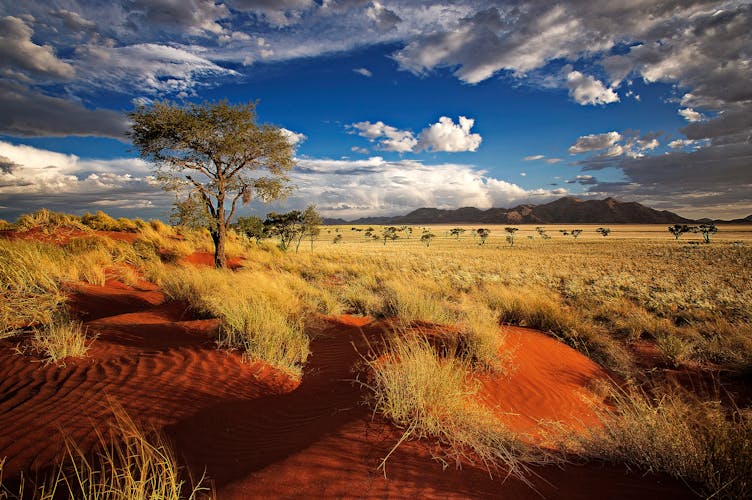 Sossusvlei, Namibia, Afrika
