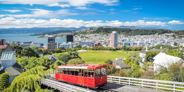 Blick über Wellington 