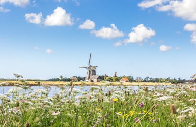Texel und Friesland erleben