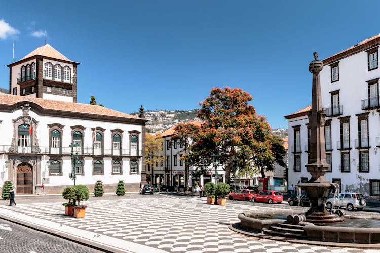 Rathausplatz Funchal