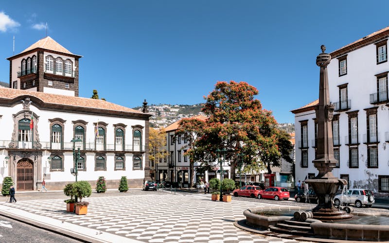 Q:\Destinationen\Portugal\Madeira\Funchal\Rathausplatz Funchal_AdobeStock_163968843©Dieter Meyer.jpeg