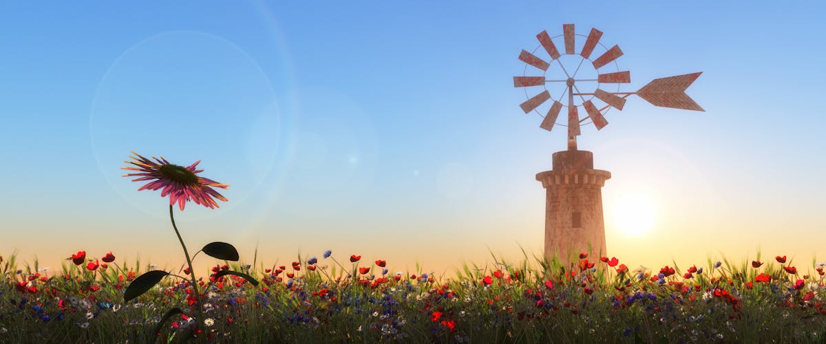 traditional windmill in Mallorca, Balearic Islands_AdobeStock_98276711©juanjo